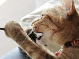 IMG02109.jpg