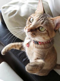 IMG02111.jpg