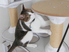 IMG02113.jpg