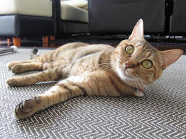 IMG02123.jpg