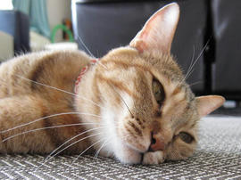 IMG02124.jpg