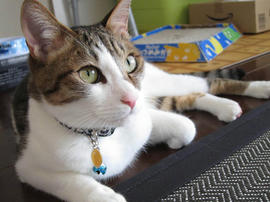 IMG02128.jpg