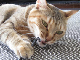 IMG02130.jpg