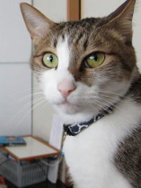 IMG02139.jpg