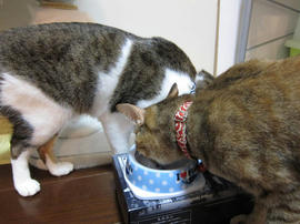 IMG02143.jpg