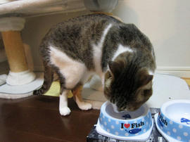 IMG02144.jpg