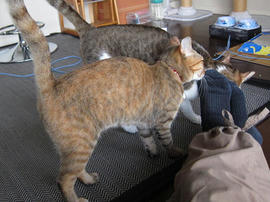 IMG02145.jpg