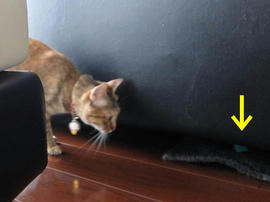 IMG02154.jpg