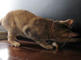 IMG02155.jpg