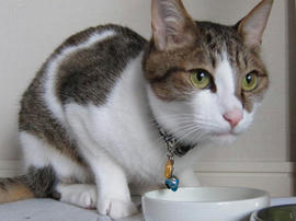 IMG02159.jpg