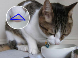 IMG02160.jpg