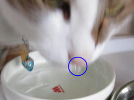 IMG02162.jpg