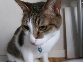IMG02164.jpg