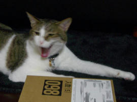 IMGP11133.jpg