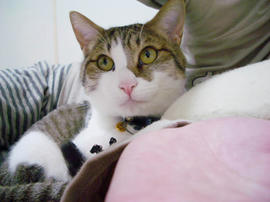 IMGP11139.jpg
