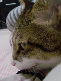 IMGP11140.jpg