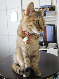 IMG02183.jpg