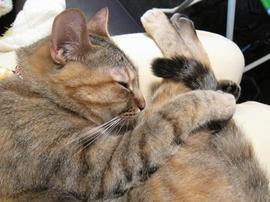 IMG02184.jpg