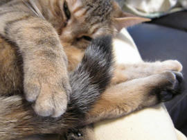IMG02186.jpg