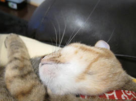 IMG02187.jpg