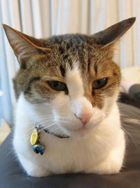 IMG02188.jpg