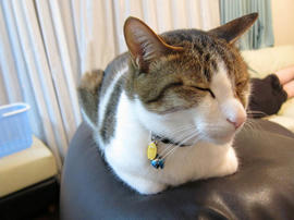 IMG02189.jpg