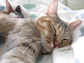 IMG02190.jpg