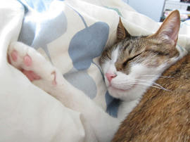 IMG02192.jpg