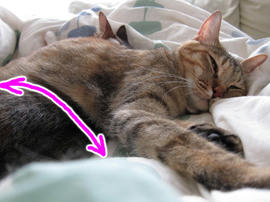 IMG02193.jpg