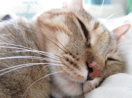 IMG02194.jpg