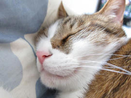 IMG02195.jpg