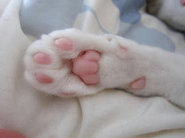 IMG02196.jpg