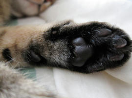 IMG02197.jpg