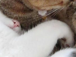 IMG02200.jpg