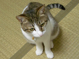 IMGP11181.jpg