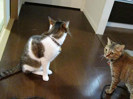 IMG02201.jpg