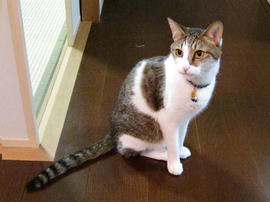 IMG02203.jpg