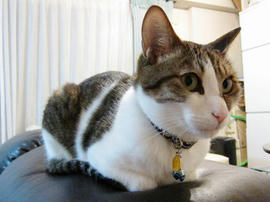 IMG02206.jpg