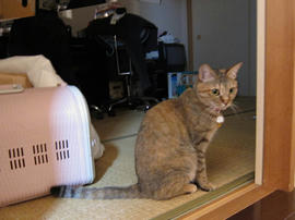 IMG02207.jpg