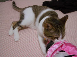 IMGP11214.jpg