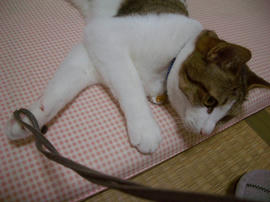 IMGP11221.jpg
