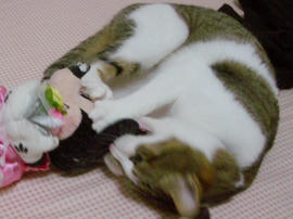 IMGP11211.jpg
