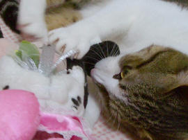 IMGP11212.jpg