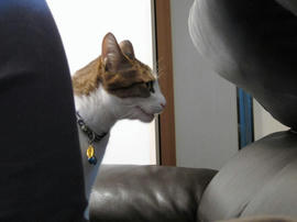 IMG02210.jpg