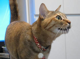IMG02214.jpg