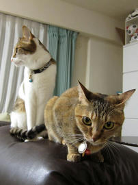 IMG02216.jpg