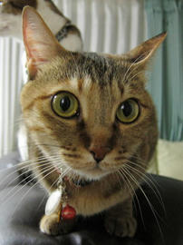 IMG02217.jpg