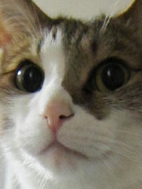 IMG02222.jpg