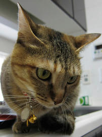 IMG02225.jpg