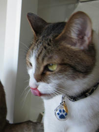 IMG02228.jpg